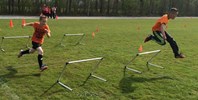 Knipsel2