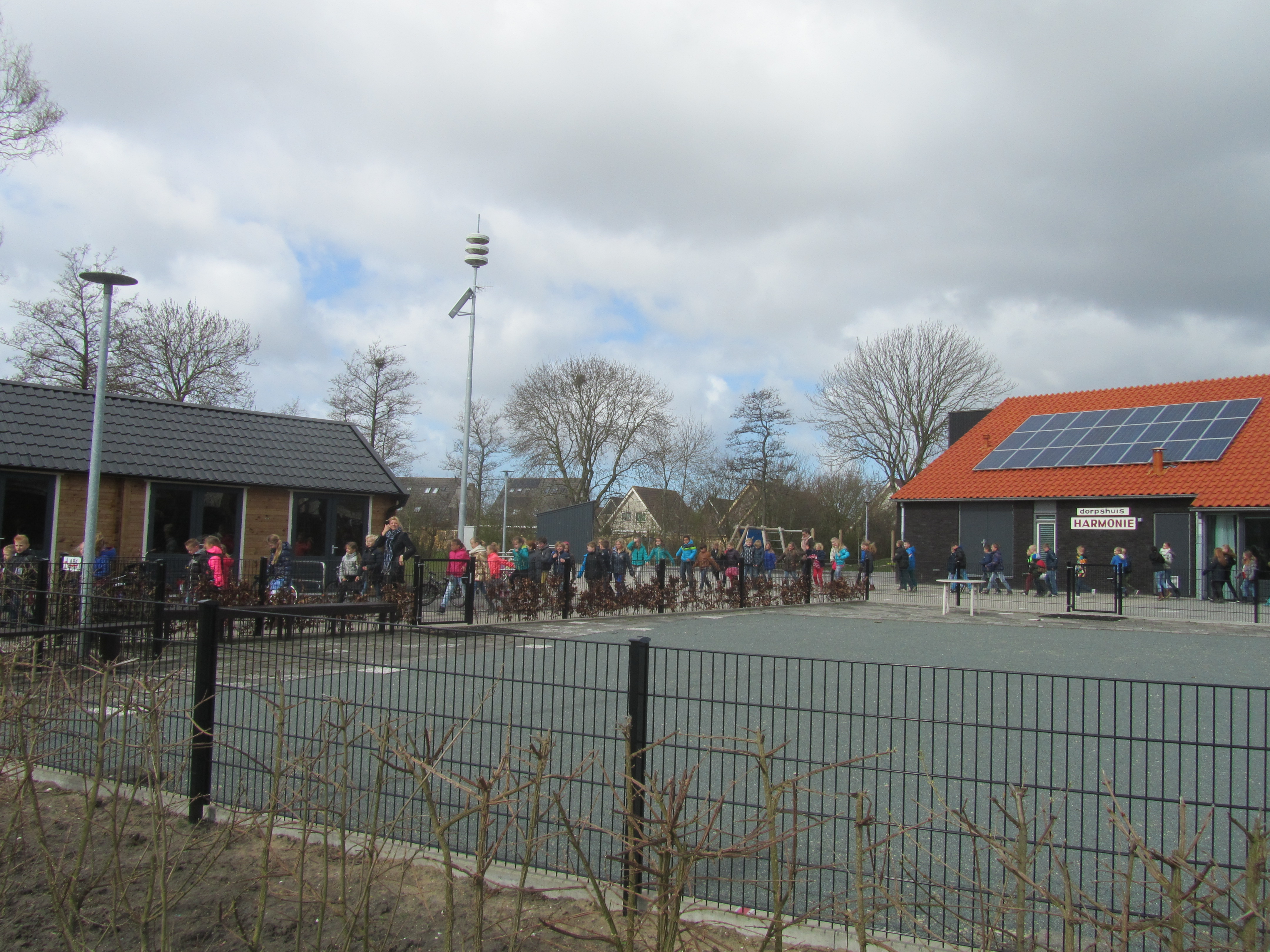 Op weg naar Pasen; plant bloeit op