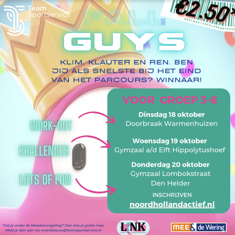 Fall guys Team Sportservice