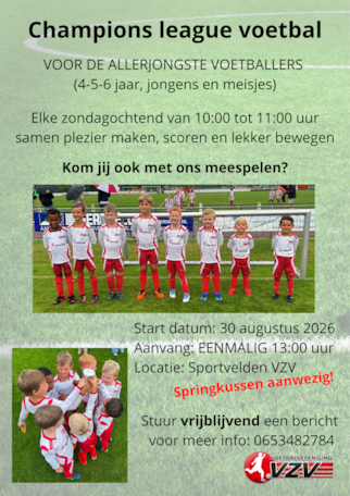 Flyer VZV